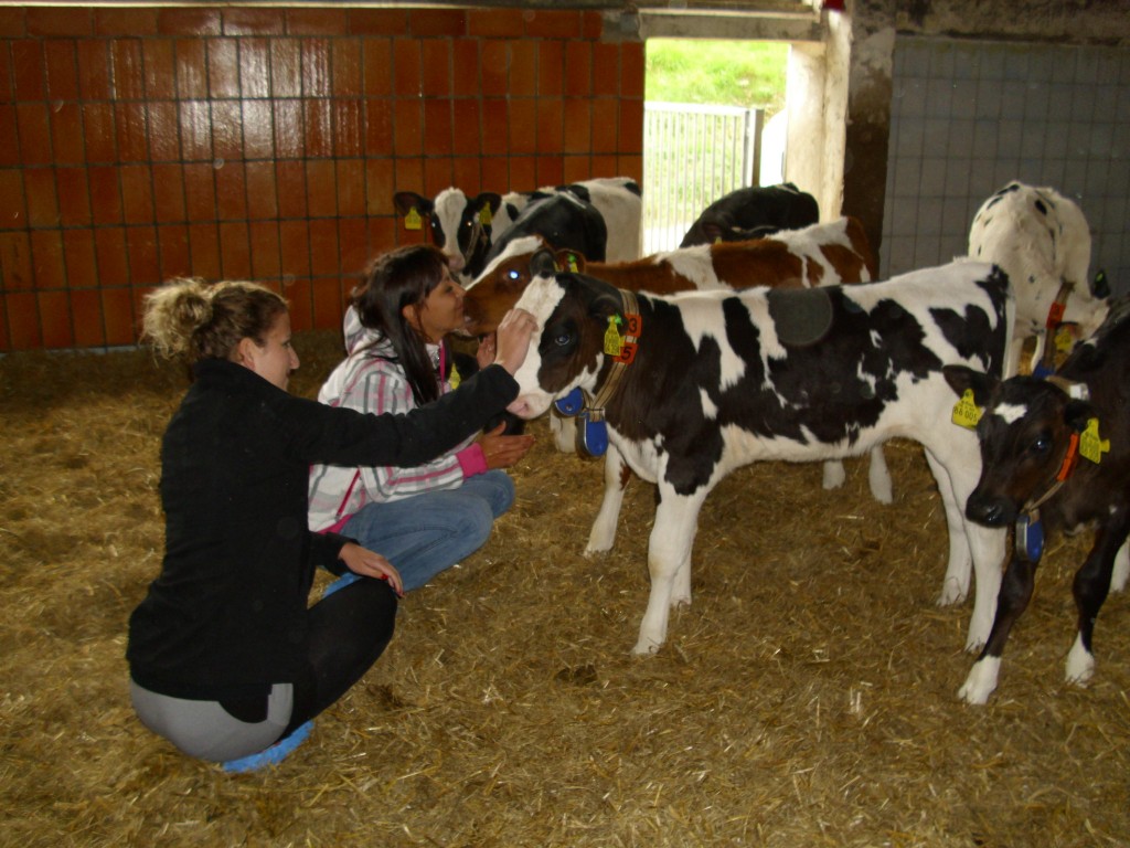 Praktika in der Landwirtschaft - LPV-Osterzgebirge